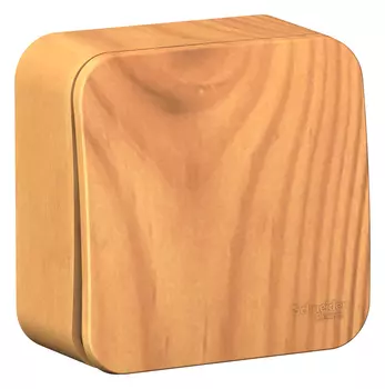 Выключатель Schneider Electric BLANCA, 1кл., открытый монтаж, в сборе, ясень (BLNCA101015)