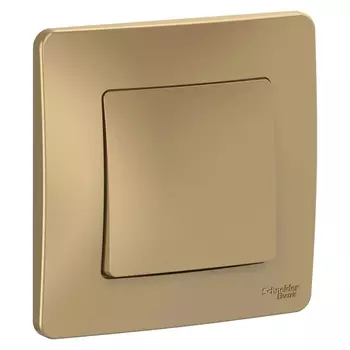 Выключатель Schneider Electric BLANCA , 1кл., скрытый монтаж, в сборе, титан (BLNVS010104)