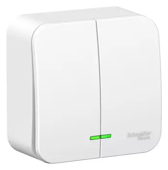 Выключатель Schneider Electric BLANCA, 2кл., индикатор/подсветка, открытый монтаж, в сборе, белый (BLNVA065121)