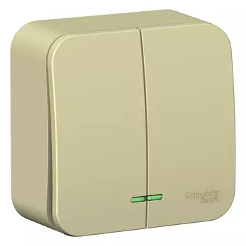Выключатель Schneider Electric BLANCA, 2кл., индикатор/подсветка, открытый монтаж, в сборе, бежевый (BLNVA105117)