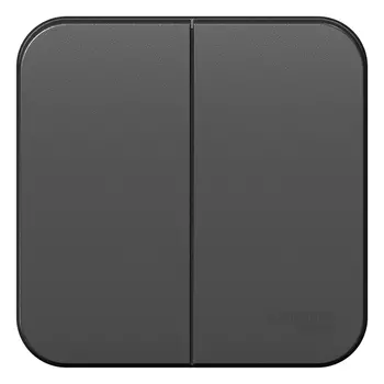 Выключатель Schneider Electric BLANCA, 2кл., открытый монтаж, в сборе, антрацит (BLNVA105006)