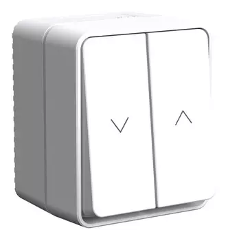 Выключатель Systeme Electric AtlasDesign Profi54, 2кл., открытый монтаж, в сборе, белый (ATN540119)
