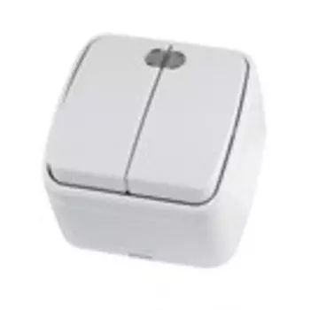 Выключатель TDM Дача, 2кл., индикатор/подсветка, открытый монтаж, в сборе, белый (SQ1824-0004)