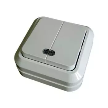 Выключатель TDM Ладога, 2кл., индикатор/подсветка, открытый монтаж, в сборе, белый (SQ1801-0007)