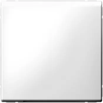 Заглушка Systeme Electric ArtGallery, алюминий (GAL000109)