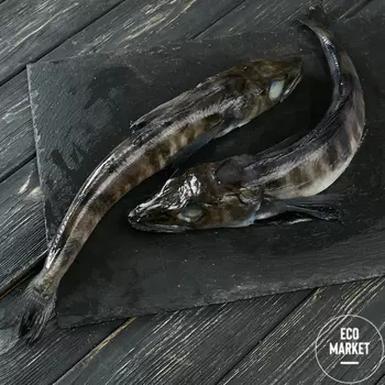 Ледяная Рыба З/М ~ 600 г (0.6 кг)