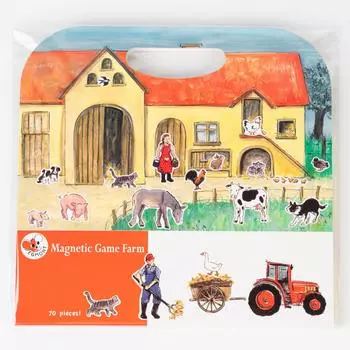 Магнитная игра Ферма