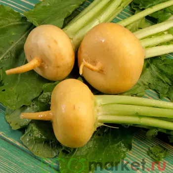 Репа молодая пучок Eco ~ 450 г