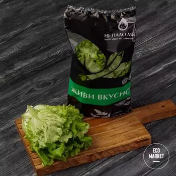 Салат Батавия, ЭкоБудущее - 100 г