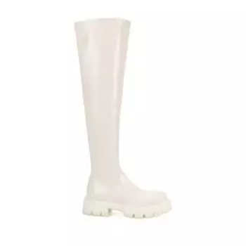 женские демисезонные ботфорты EKONIKA