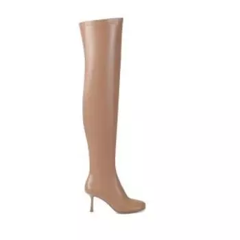 женские демисезонные ботфорты EKONIKA