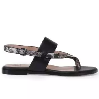 EN1356-01-multicolor-22L