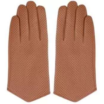EN33717-ginger-21Z