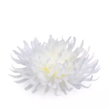 женская брошь EKONIKA PREMIUM