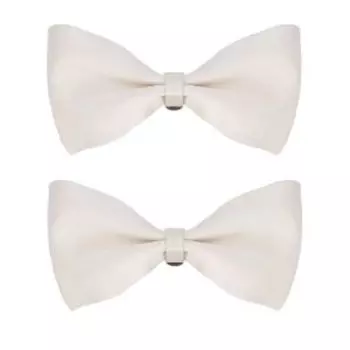 женские броши (набор 2 шт.) EKONIKA PREMIUM