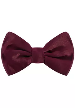 Бабочка CORNELIANI