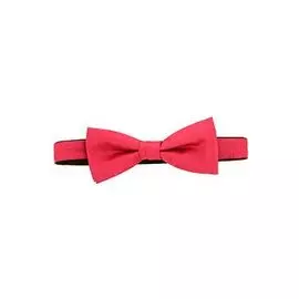 Бабочка STRELLSON