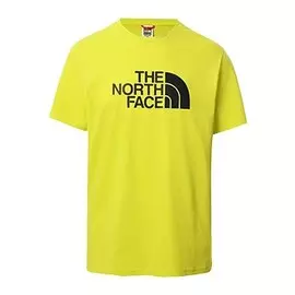 Футболка THE NORTH FACE