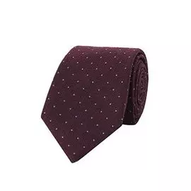 Галстук ISAIA