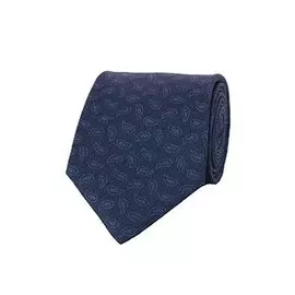 Галстук ISAIA