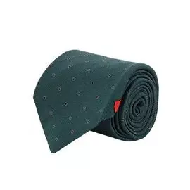 Галстук ISAIA
