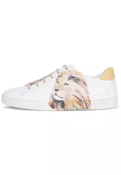 Кеды STEFANO RICCI