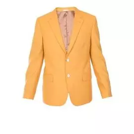 Пиджак ALEXANDER McQUEEN