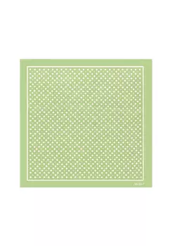 Платок LUISA SPAGNOLI