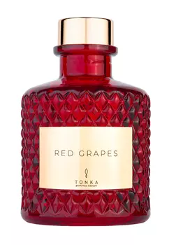 Рефил для диффузора TONKA PERFUMES