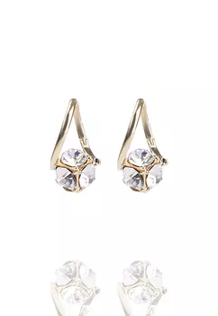 Серьги DISETTA