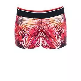 Шорты ROBERTO CAVALLI