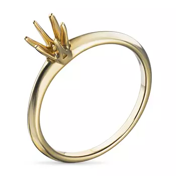 Гладкое золотая оправа (каст) э0300кц06200856