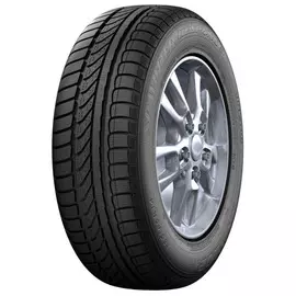 Шины 175/70 R14 Dunlop Winter Response 88T