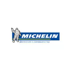 Шины 205/55 R16 Michelin Primacy 4 94V Vol