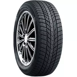 Шины 225/55 R16 Roadstone WinGuard ice Plus 99T XL