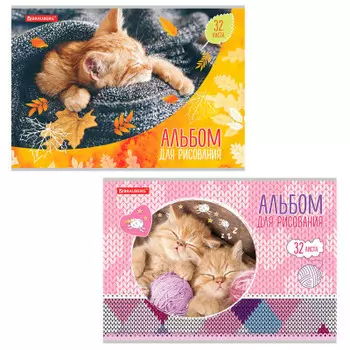 Альбом для рисования брауберг 32л а4 котята 2 вида 105613
