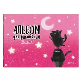 Альбом для рисования феникс+ 12 л ночное приключение а4 285 х200 мм 60267