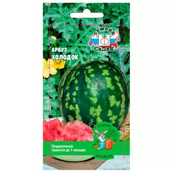 Арбуз Холодок 1г даёшь урожай