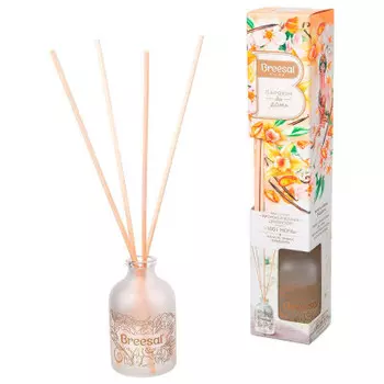 Ароматический диффузор Breesal 1001 ночь