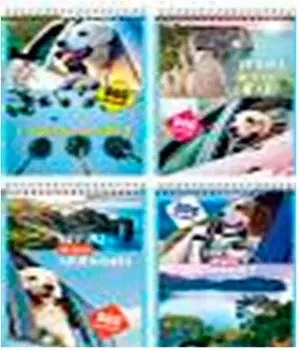 Блокнот БиДжи 60л а5 путешествие с собакой б5гр60 7463