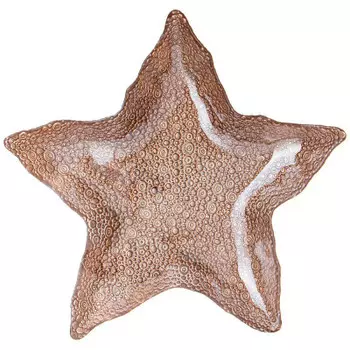 Блюдо 34 см Bronco Starfish Sand 336-083