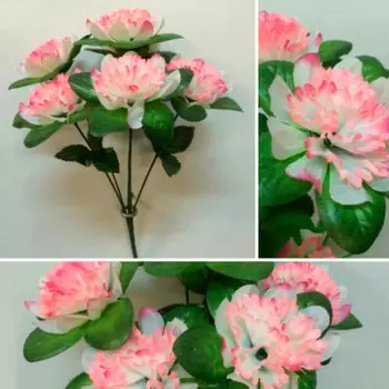 Букет георгинов махровых 6г 36см