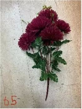 Букет искусственных цветов астры 60 см е65