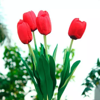 Букет тюльпанов 5 шт