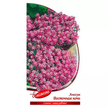 Цветок алиссум восточная ночь 0,1г агрони