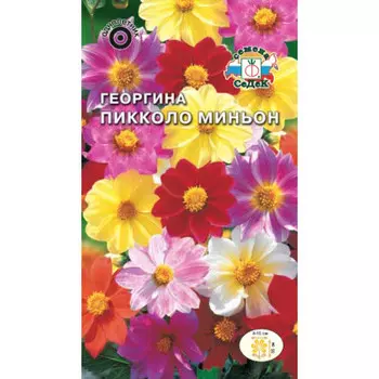 Цветок георгин миньон низкорослый карликовый смесь 0,2г