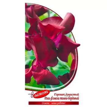 Цветок горошек душистый роял фэмели темно-бордовый 1г агрони