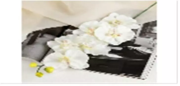 Цветок искуственный орхидея 9*60 см бело желтая 3534215