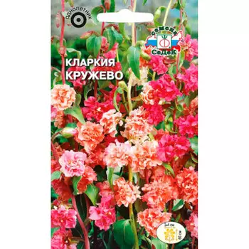 Цветок кларкия кружево высокорослая смесь 0,25г