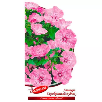 Цветок лаватера серебряный кубок 0,5г агрони